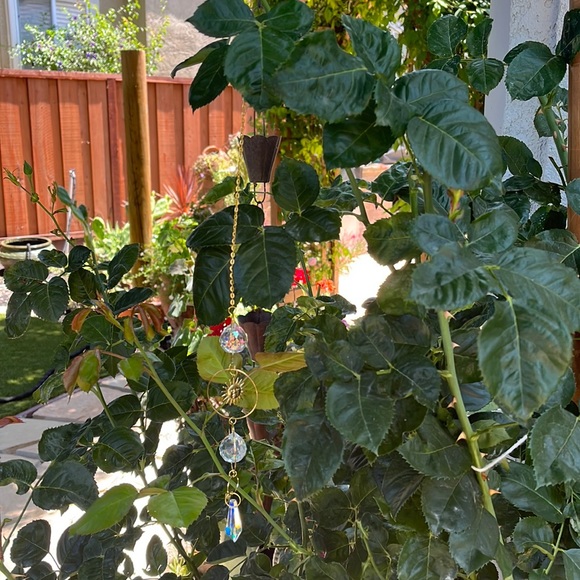 Suncatcher - Picture 3 of 3